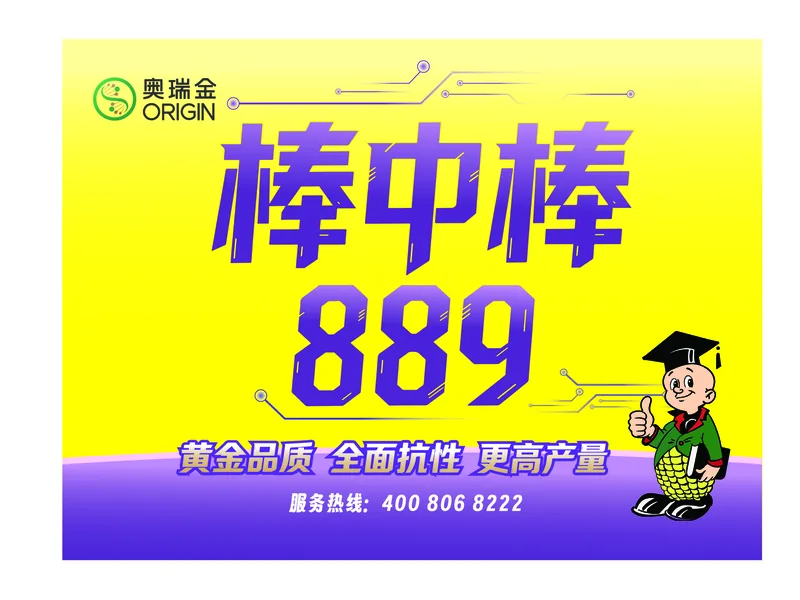 棒中棒889